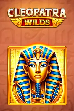 Gioco delle slot1